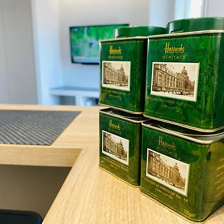 Castle View Center Concon شقة *