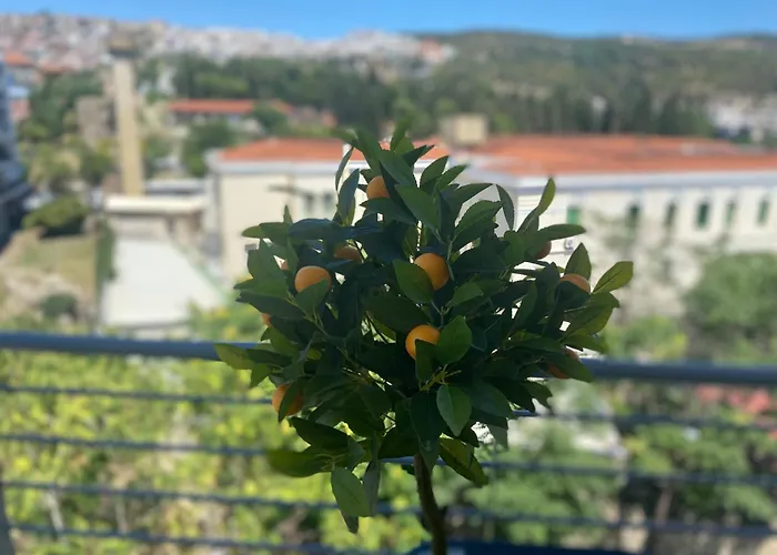 Apartamento Castle View Center Concon