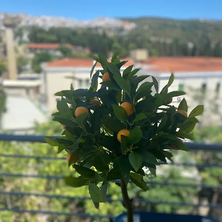 公寓 Castle View Center Concon