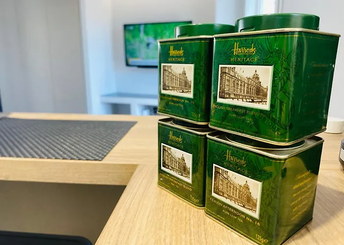 Castle View Center Concon 公寓 *